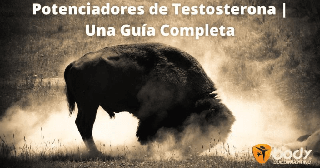 Guia de Suplementos y Vitaminas para aumentar la Testosterona