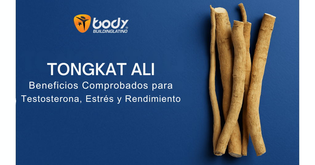 Tongkat Ali: Beneficios comprobados para testosterona, estrés y rendimiento físico