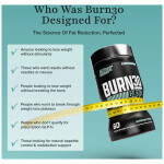 Burn30_Image_Stack_06