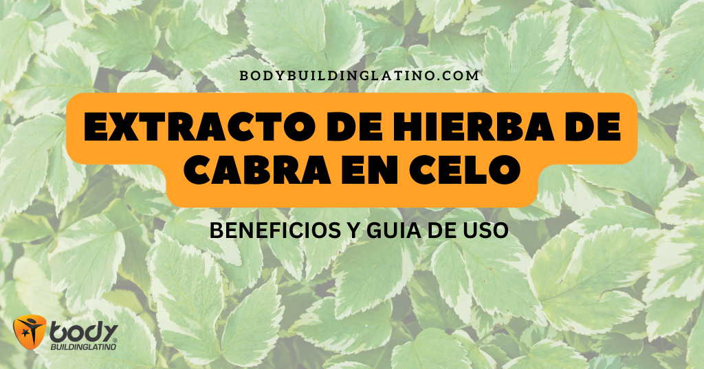 Hierba de Cabra en Celo (Horny Goat Weed): Beneficios, Usos y Dónde Comprar en Panamá