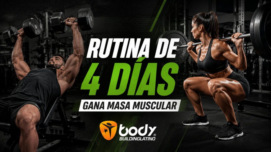 Rutina de 4 días para ganar masa muscular con división torso y pierna