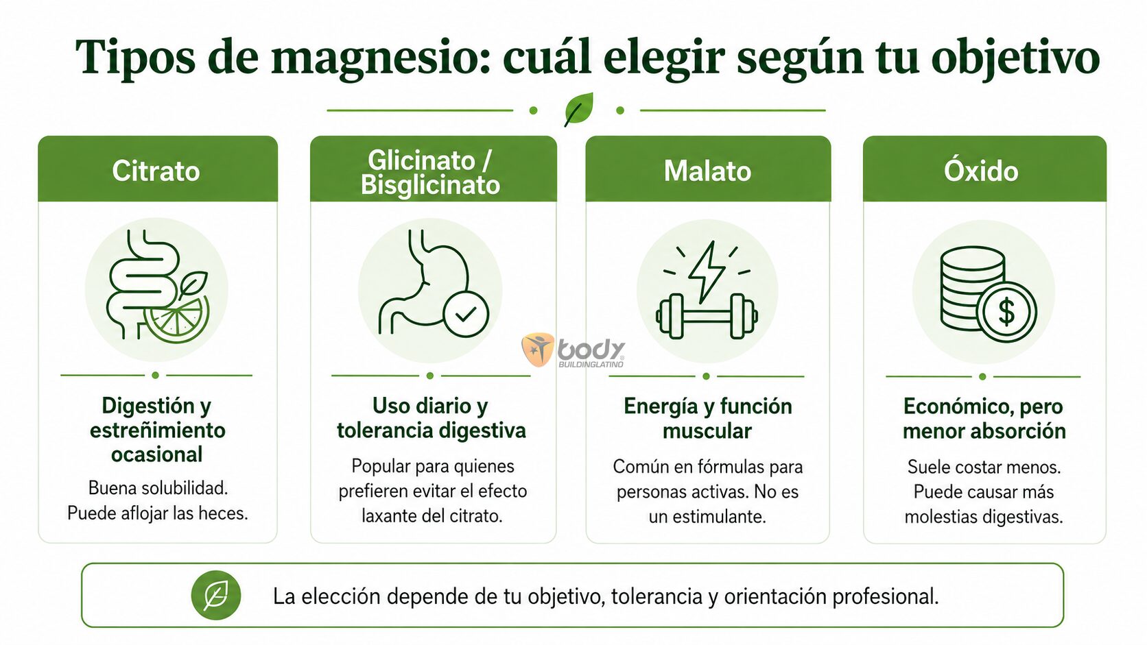 Comparación rápida entre citrato, glicinato, malato y óxido de magnesio según características generales y tolerancia