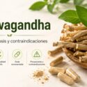 Ashwagandha y extracto de raíz con guía sobre beneficios, dosis y contraindicaciones
