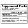 CoQ10 (100mg) 60 Vege Caps, Kosher CoQ10 (100mg) 60 Vege Caps, Kosher
